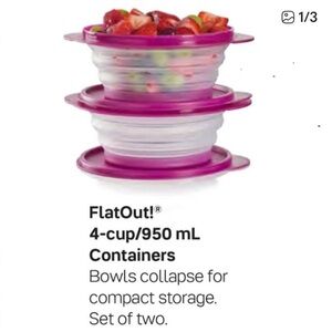 Tupperware FlatOut Collapsible Containers - Pink